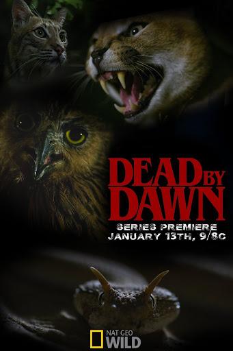 Dead by Dawn (2019)