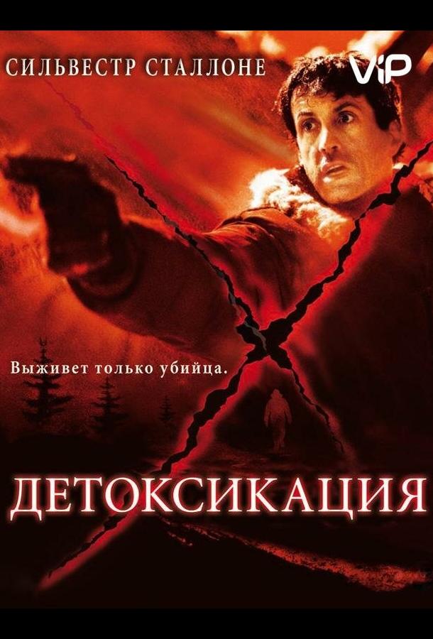 Детоксикация (2001)