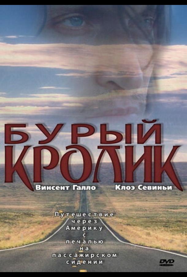 Бурый кролик (2003)